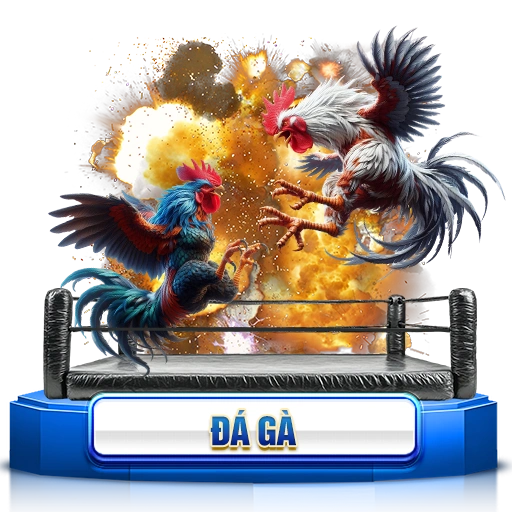 Đá Gà trực tiếp